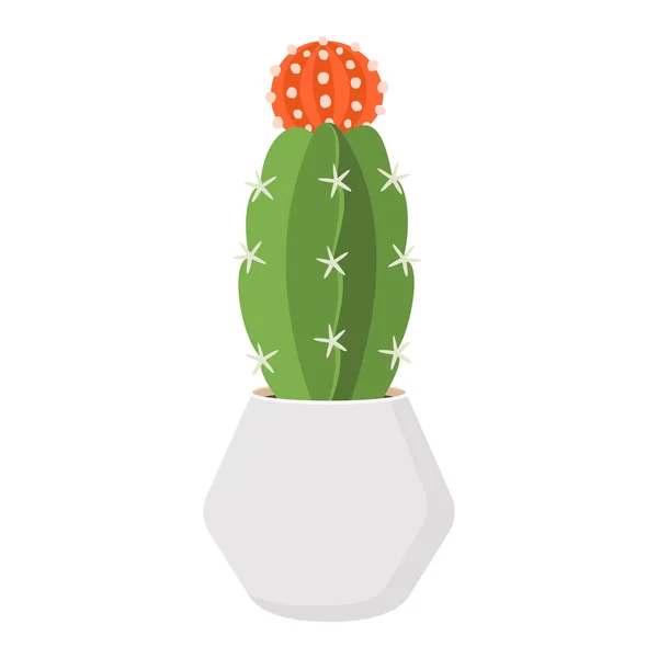 Cactus et succulent en pot illustration vectorielle de dessin animé coloré domestique — Image vectorielle