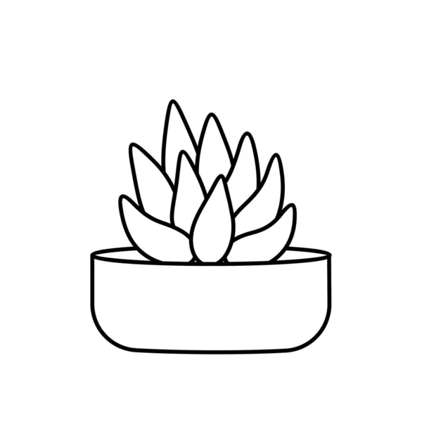 Illustration vectorielle de style ligne succulente et cactus — Image vectorielle