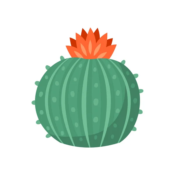 Cactus en sappige kleurrijke cartoon vector illustratie — Stockvector