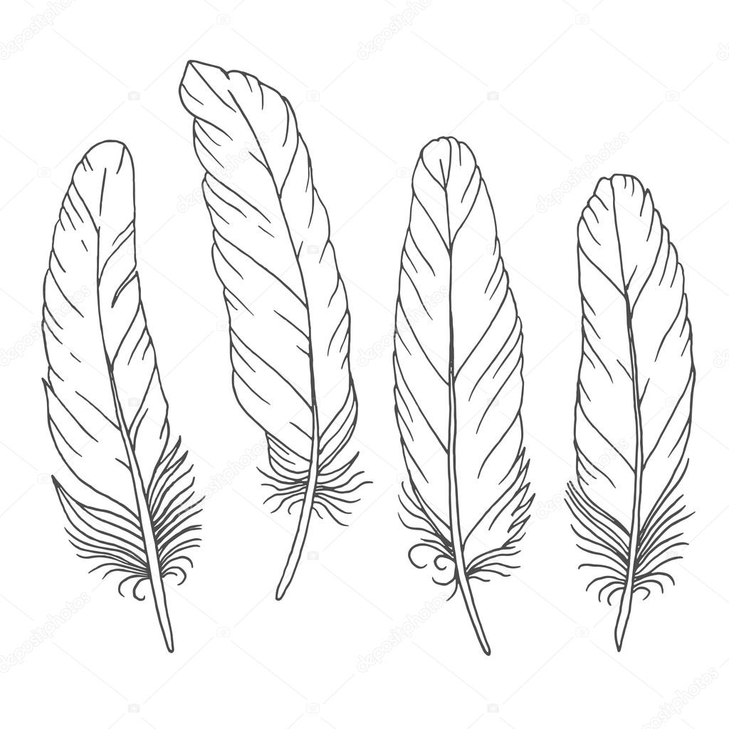 Hand drawn feathers set on white background
