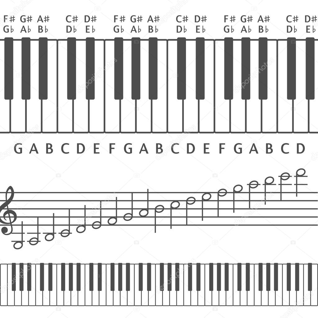Piano keys and notes vector illustration