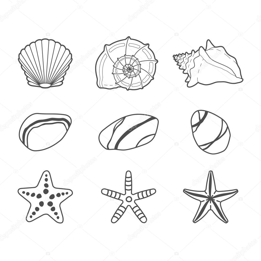Sea shells, stars and stones vector icon set