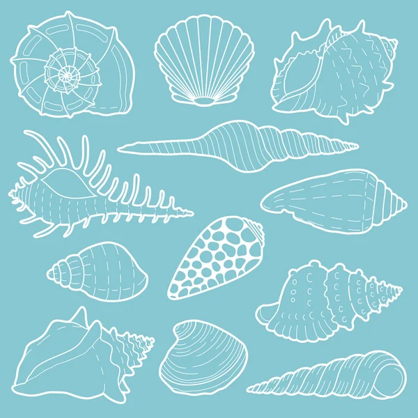 White sea shells vector icon set — Stock Vector