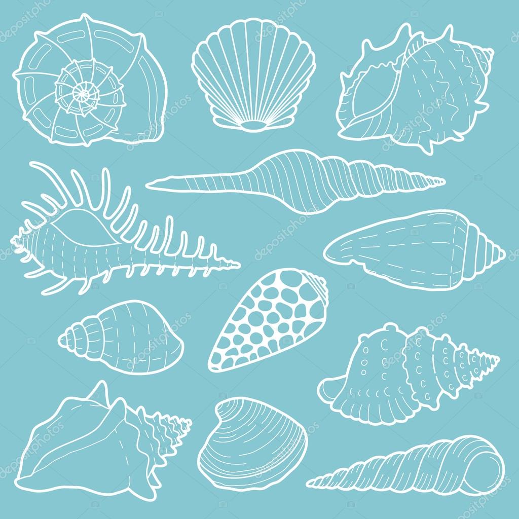 White sea shells vector icon set isolated on background