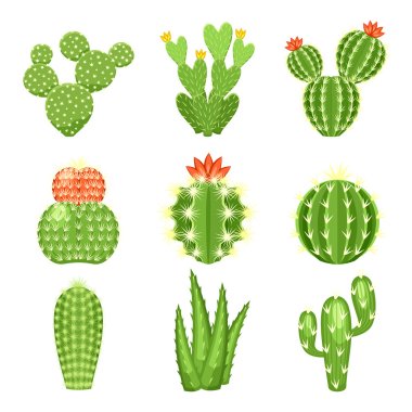 Vector icon set of colored cactus and succulent