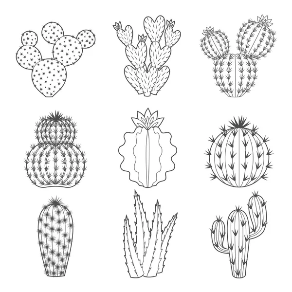 Conjunto de iconos vectoriales de cactus de contorno y suculentas — Archivo Imágenes Vectoriales