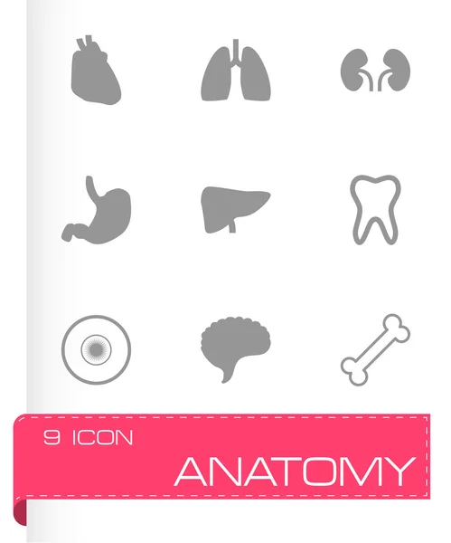 Conjunto de iconos de anatomía negra vectorial — Archivo Imágenes Vectoriales