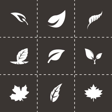 Siyah vektör yaprak Icons set
