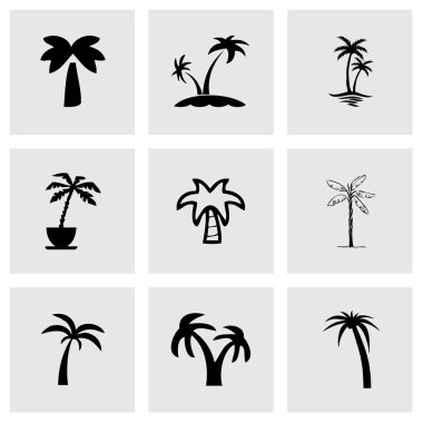 Vektör palm Icon set