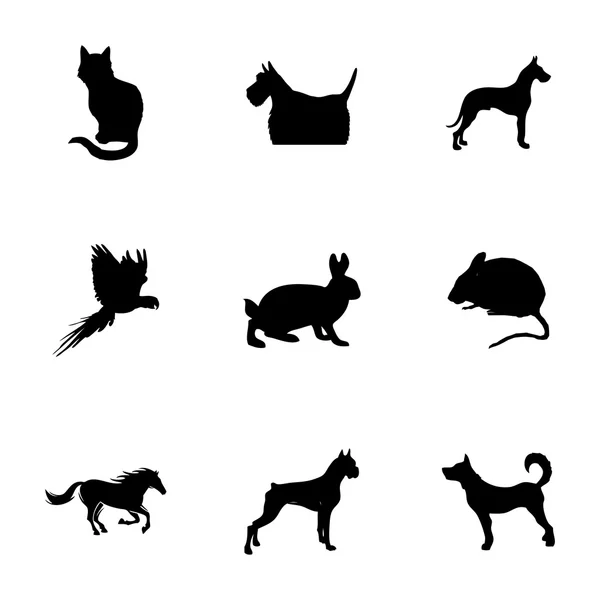 Set di icone per animali domestici vettoriali Vettoriale Stock