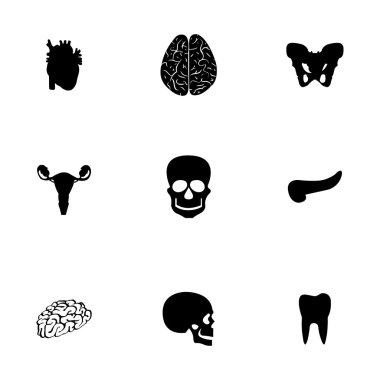 Vektör anatomi Icons set