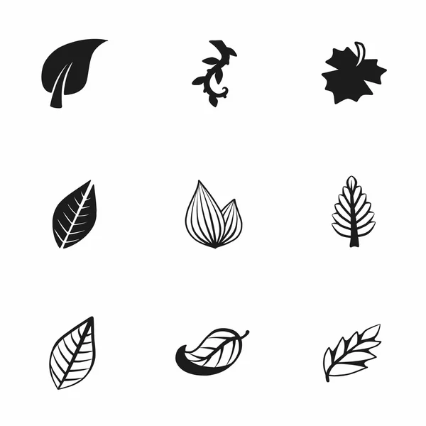Vector leaf icon set — Stock Vector