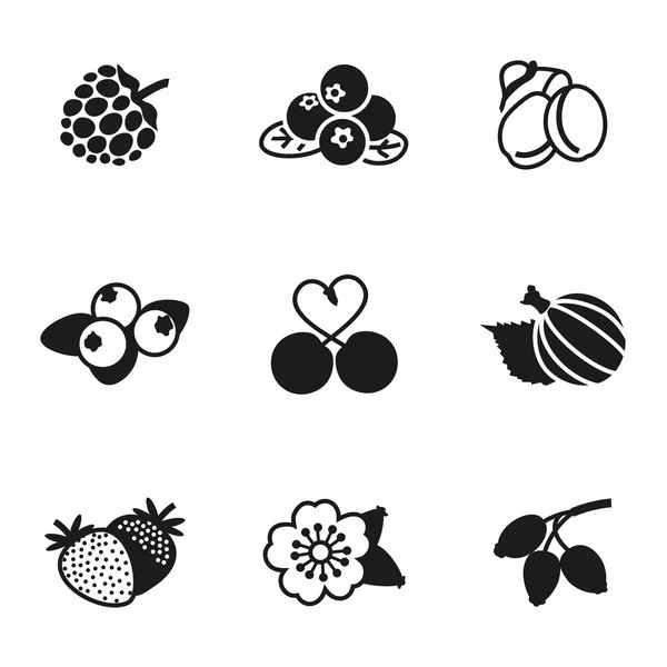 Vector Berries icon set — Stock Vector