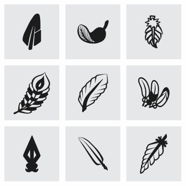 vektör tüy Icon set
