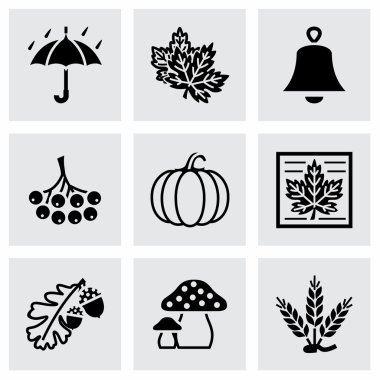 Vektör sonbahar Icon set