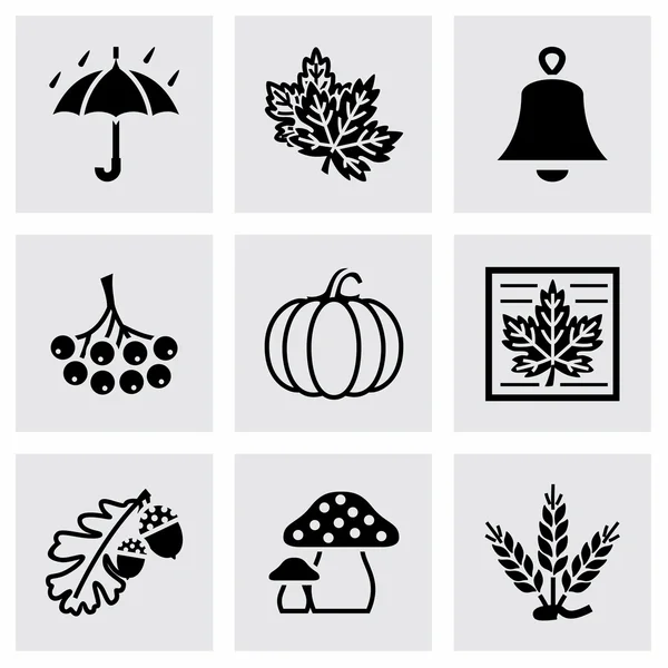 Vector Autumn icon set — Stock Vector