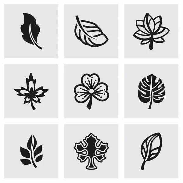 Vector Leaf icon set — Stock Vector