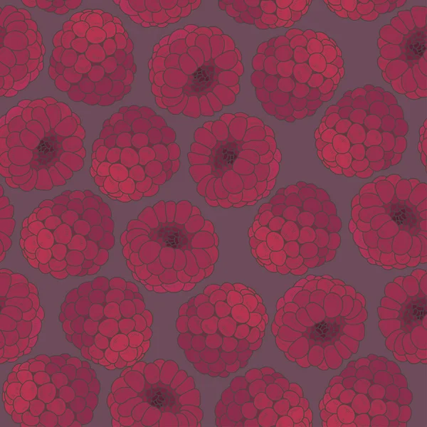 Raspberries  seamless pattern — Stock Vector