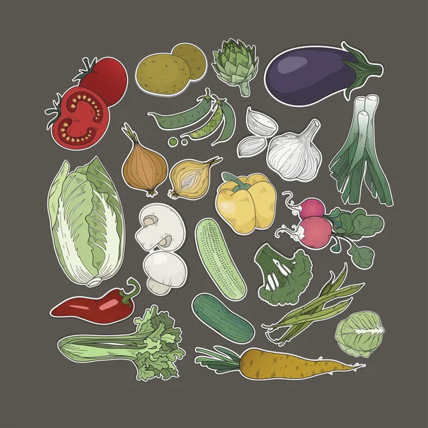 Coleta de legumes desenhados à mão — Vetor de Stock