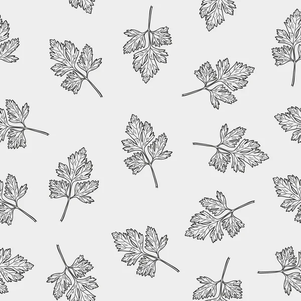 Vector seamless pattern with parsley . Hand drawn illustration. — Stockvector