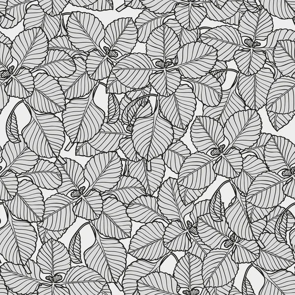 Vector seamless pattern with regano . Hand drawn illustration. — ストックベクタ