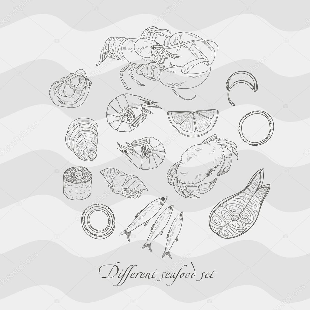 Vector seafood line drawing set