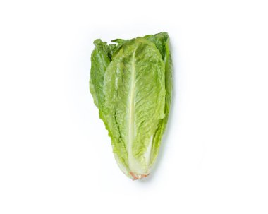 Beyaz arka planda yeşil Romaine Marul salatası. Yemek konsepti. Boşluğu kopyala.