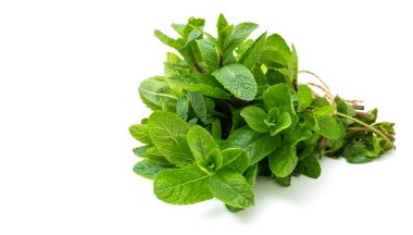 Beyaz arka planda bir sürü taze yeşil nane. Metin için boşluk.