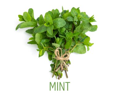 Beyaz arka planda bir sürü taze yeşil nane..