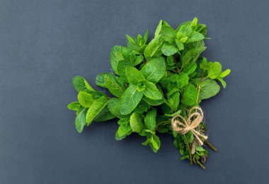 Gri arka planda bir sürü taze yeşil nane. Metin için boşluk.