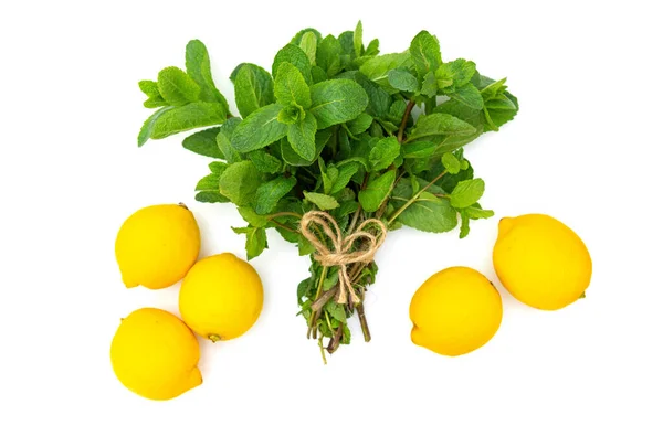 Limones Amarillos Menta Verde Fresca Sobre Fondo Blanco Lugar Para —  Fotos de Stock