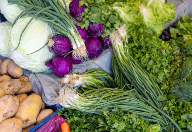 Taze lahana, yeşil soğan, dereotu, patates ve diğer sebzeler çiftçi pazarının tezgahında. Hasat satışı, süpermarket..
