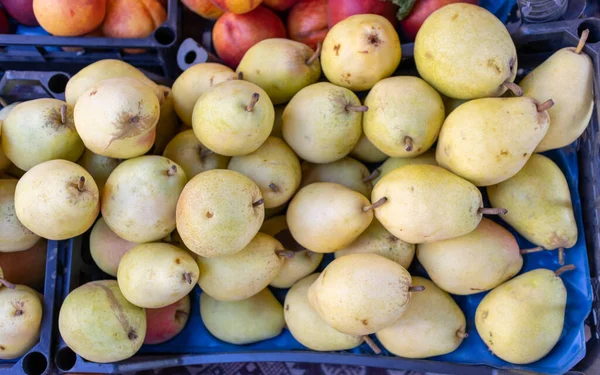 Viele Gelbe Reife Birnen Auf Dem Tresen Bauernmarkt Obsthandel — Stockfoto