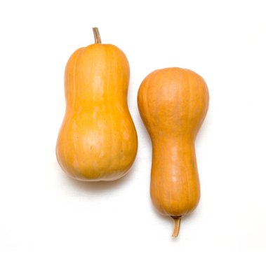 Beyaz arka planda izole edilmiş iki farklı sarı balkabağı..