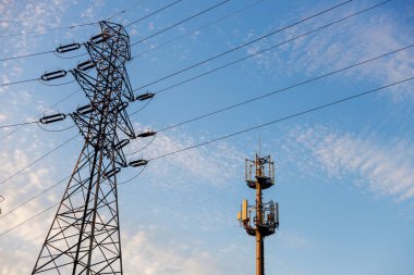 Orman mühendisi. Kontrol müfettişi kayıtları kontrol ediyor. Çevre bilimci gönüllü işçi. Pano ağaçlarını kontrol eden erkek eko teknisyeni.