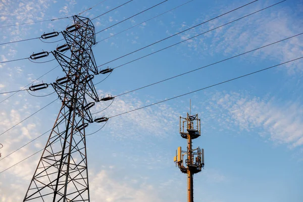 Orman mühendisi. Kontrol müfettişi kayıtları kontrol ediyor. Çevre bilimci gönüllü işçi. Pano ağaçlarını kontrol eden erkek eko teknisyeni.