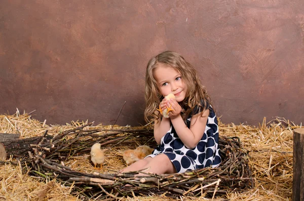 Little girl playing with alive chickens in nest — Stock Photo, Image