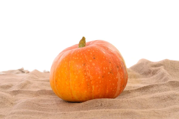 Calabaza madura naranja — Foto de Stock