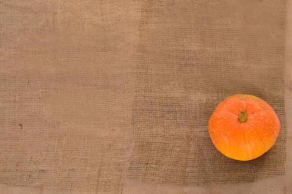 Orange ripe pumpkin — Stock Photo, Image