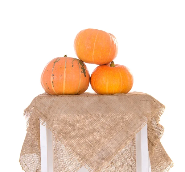 Pyramid of orange ripe pumpkins — Stock Photo, Image