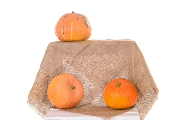 Orange ripe pumpkin — Stock Photo, Image