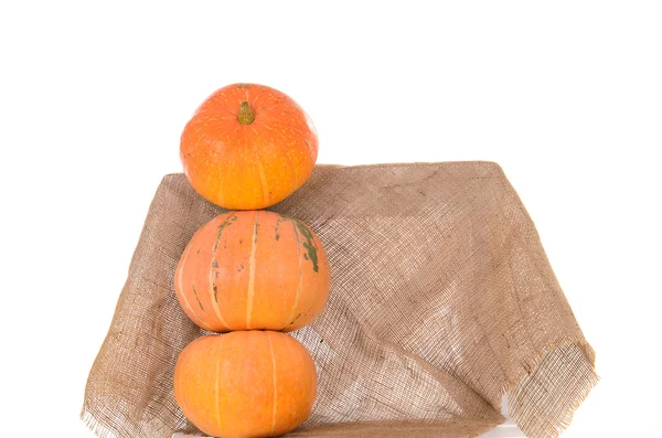 Pirámide de calabazas naranjas — Foto de Stock
