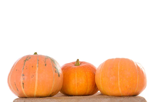 Orange ripe pumpkin — Stock Photo, Image