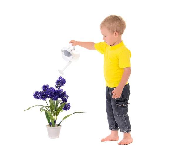 Little boy pouring on flower — Stock Photo, Image