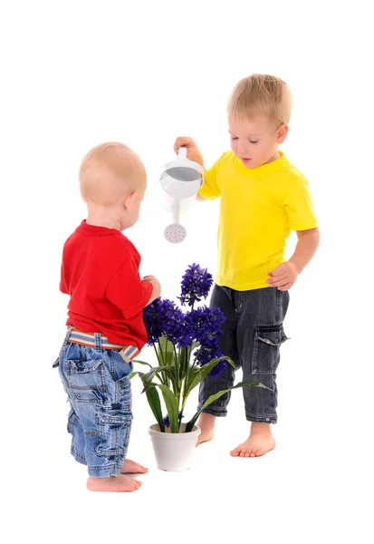 Children pouring on flower — Stock Photo, Image