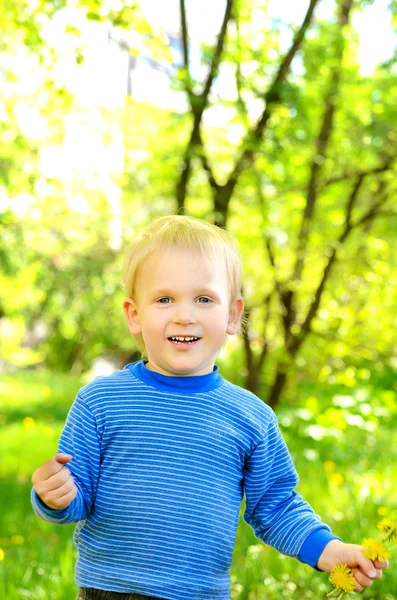 Liten blond pojke på gröna blad bakgrund — Stockfoto