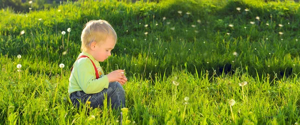 Niño sobre fondo de hierba verde primavera —  Fotos de Stock