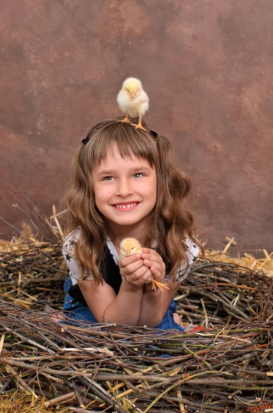 Poussins dans le nid de brindilles — Photo