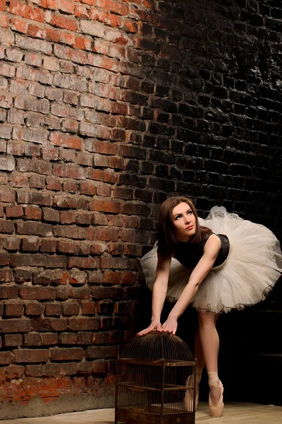 Ballerina in tutu in de buurt van bakstenen muur — Stockfoto