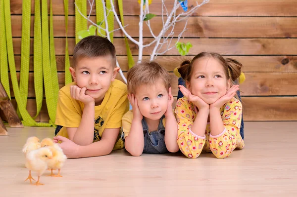 Niños con pollos en el interior —  Fotos de Stock